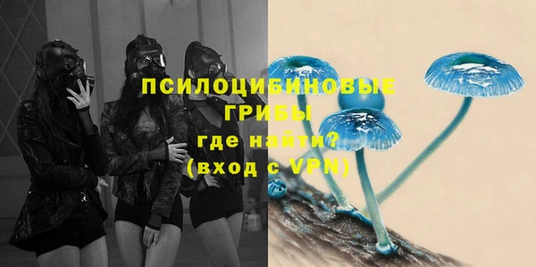 круглые Алексеевка